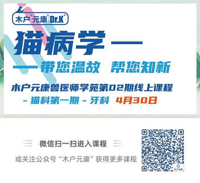 课程介绍第4-1
