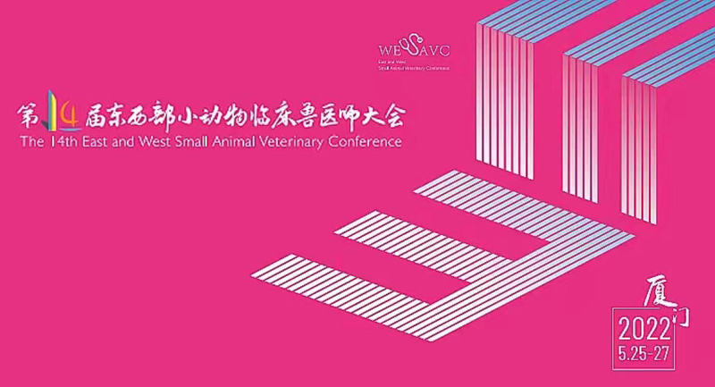 新闻1