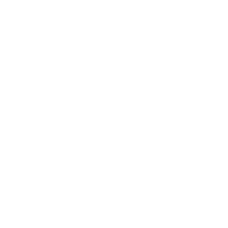 英文版