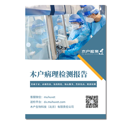 木户元康