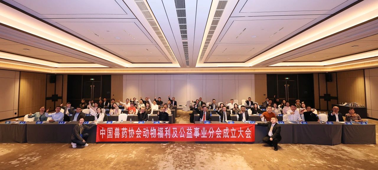 微信图片_20241025131306