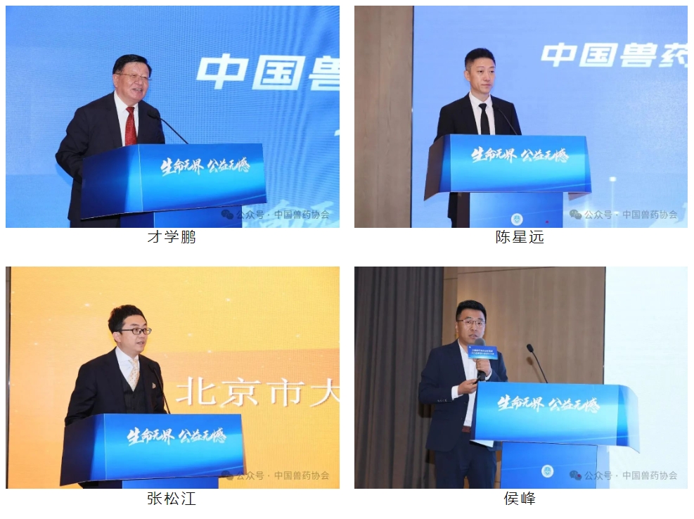 微信截图_20241025131026